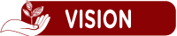vision